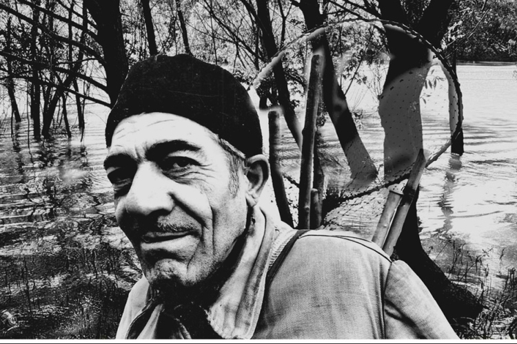 Dombóvári fotósok munkái országos fotópályázatokon