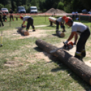 Felbőgtek a motoros fűrészek Ropolypusztán 