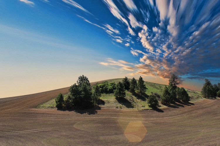 Végéhez közelítenek a tavaszi szántóföldi munkák