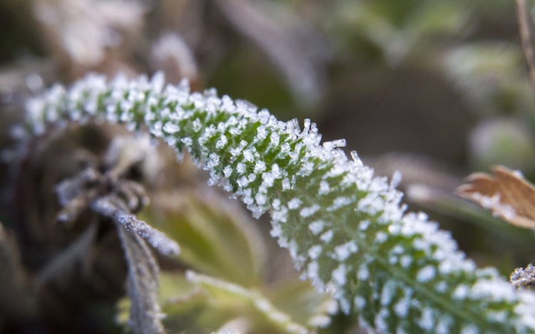 A hét elején még borult, párás, ködös idő várható, majd feltámad a szél, és melegedés kezdődik