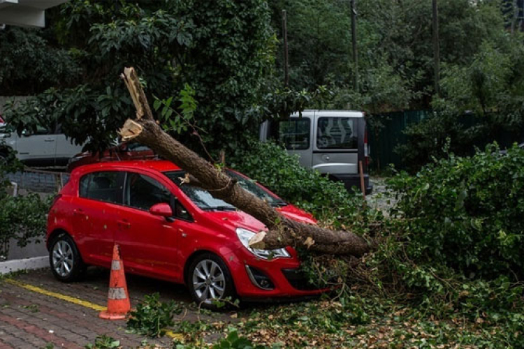Tehetünk azért, hogy kevesebb viharkár legyen