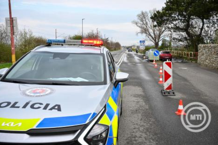 Feloldották a száj- és körömfájásra fogékony állatok Magyarországról Szlovákiába szállításának tilalmát