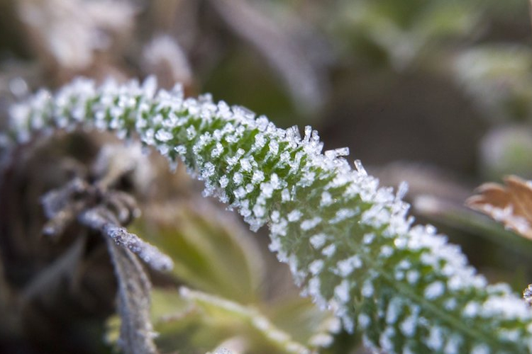 Lehűléssel indul a hét, visszatérnek a hajnali fagyok is