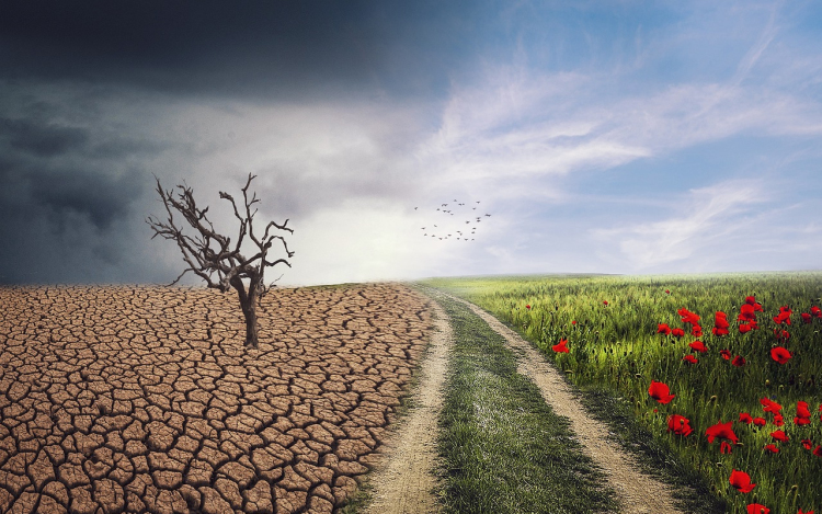 Top 5 fenntarthatósági trend 2026-ban – új korszak kezdődhet