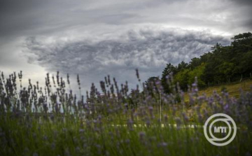 Másodfokú riasztást adtak ki viharos széllökések veszélye miatt egyes dunántúli járásokra