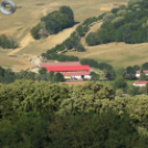 Deltások a Zselicben