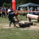 Felbőgtek a motoros fűrészek Ropolypusztán 
