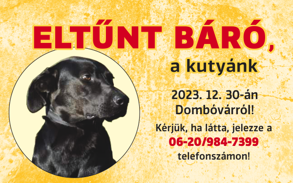 Eltűnt Báró, a fekete labrador keverék Dombóváron
