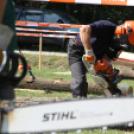 Felbőgtek a motoros fűrészek Ropolypusztán 