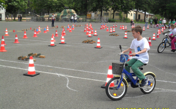 Pindúr-Pandúr 2013. 